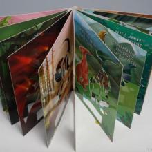 彩色印刷 河南彩色黑白书刊印刷厂家的专业服务与优势